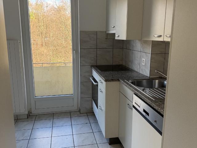 Apartment mieten in Stelzenacker, Dietikon