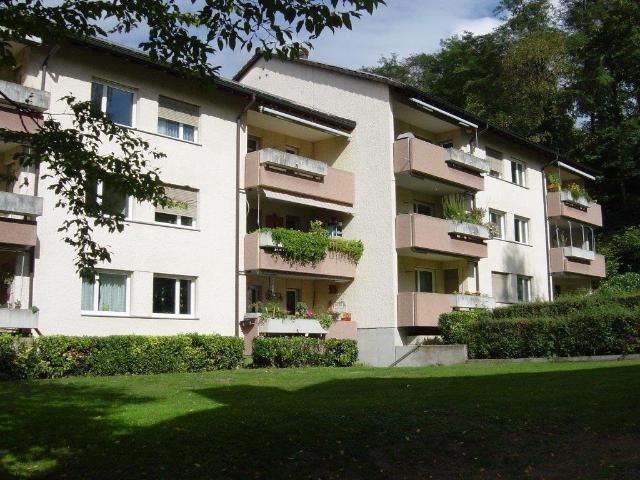 Apartment mieten in Dornach, Solothurn