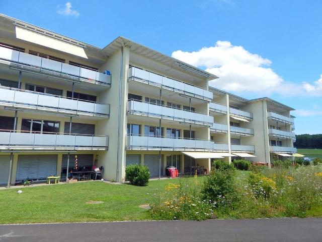 Apartment mieten in Dottikon, Aargau