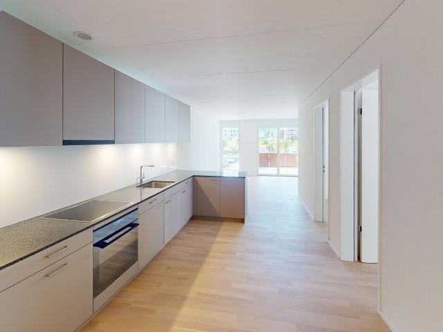 Apartment mieten in Dübendorf, Zürich