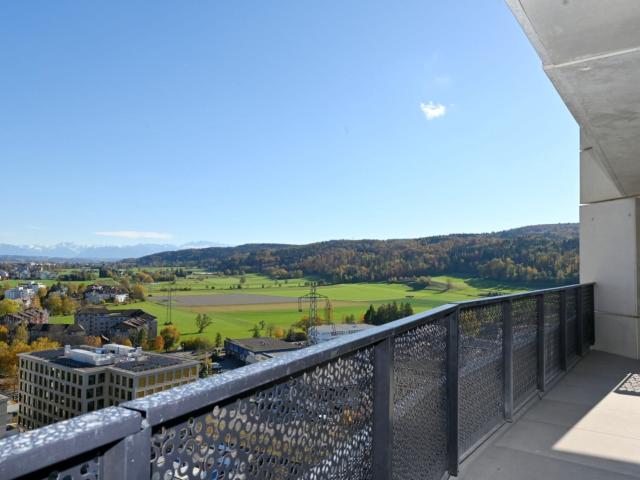 Apartment mieten in Dübendorf, Zürich