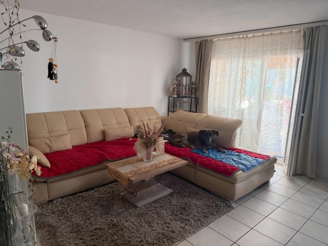 Apartment mieten in Egerkingen, Solothurn