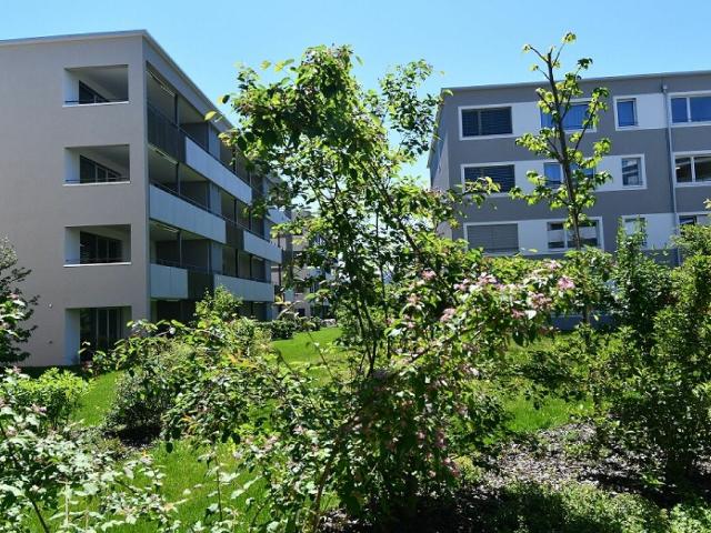 Apartment mieten in Lindenacker, Eschlikon