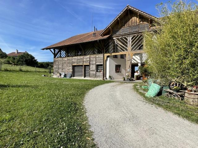 Apartment mieten in Faoug, Waadt