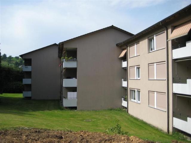 Apartment mieten in Aesch, Maur