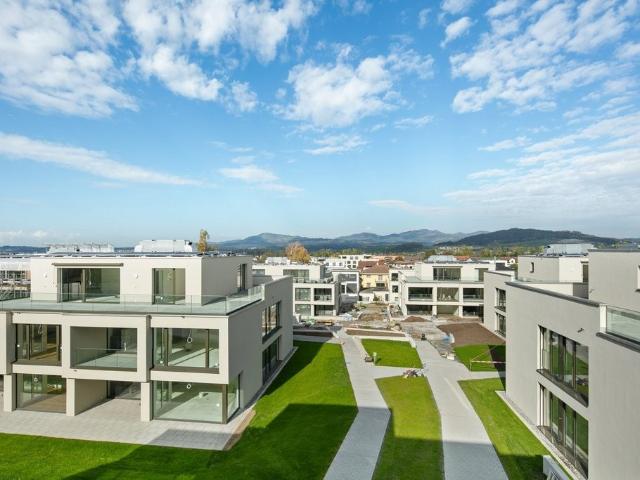 Apartment mieten in Galgenen, Schwyz
