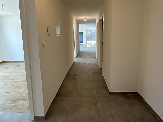 Apartment mieten in Gampelen, Bern