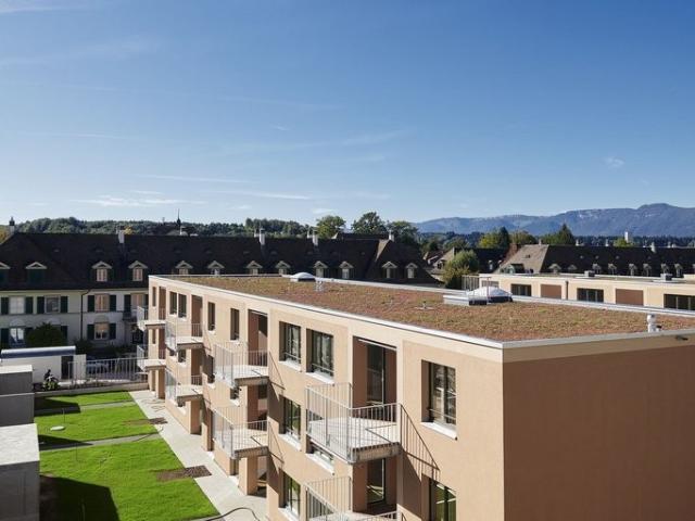Apartment mieten in Oberfeld, Gerlafingen