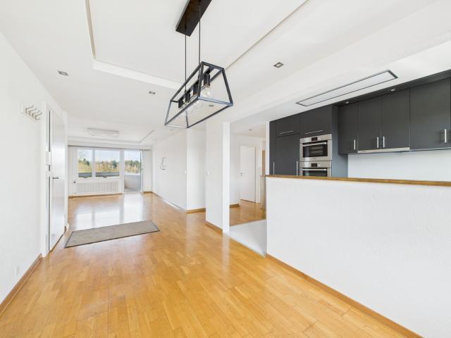 Apartment mieten in Sandacher, Greifensee