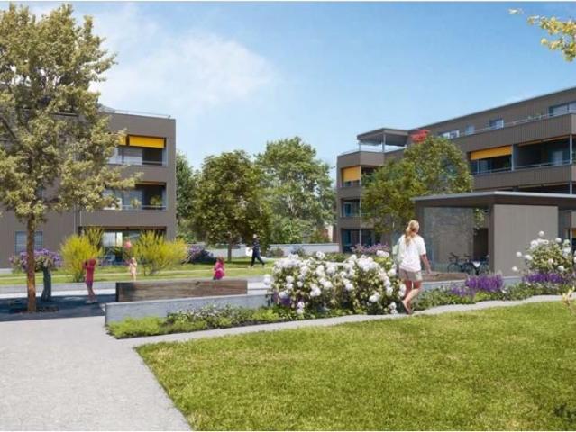 Apartment mieten in Cham, Zug