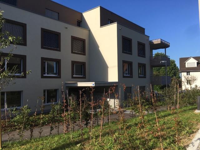 Apartment mieten in Hedingen, Zürich
