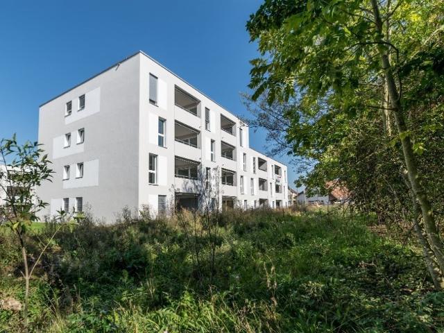 Apartment mieten in Holziken, Aargau