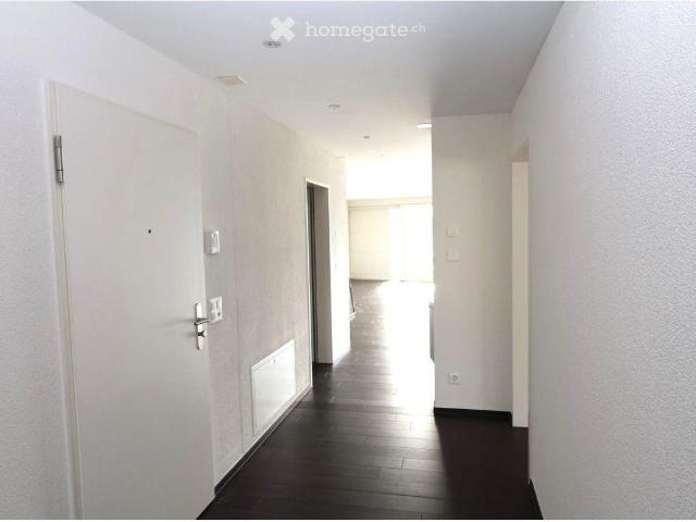 Apartment mieten in Hombrechtikon, Zürich