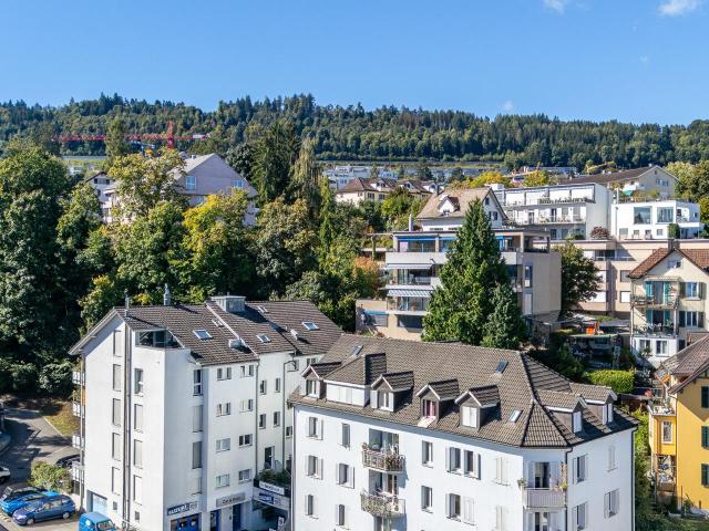 Apartment mieten in Horgen, Zürich