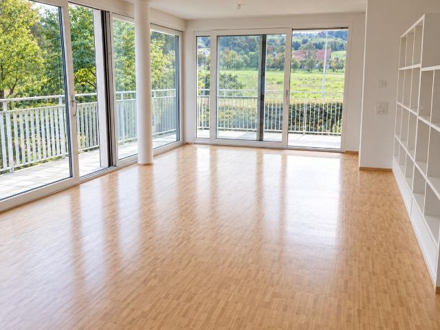 Apartment mieten in Horgen, Bezirk Horgen