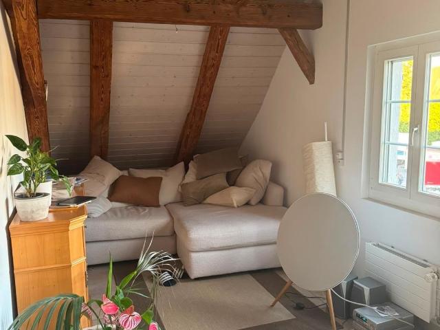 Apartment mieten in Knonau, Zürich
