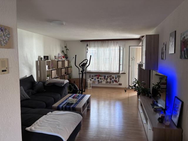 Apartment mieten in Zell (ZH), Zürich