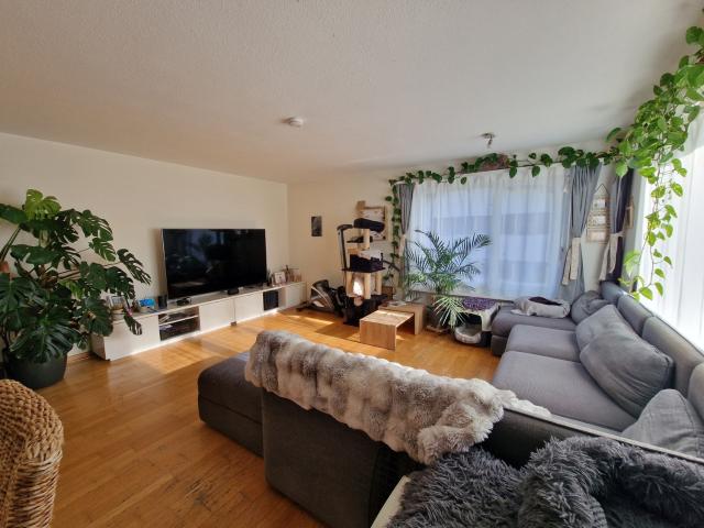 Apartment mieten in Küssnacht (SZ), Küssnacht
