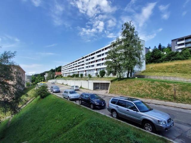 Apartment mieten in La Chaux-de-Fonds