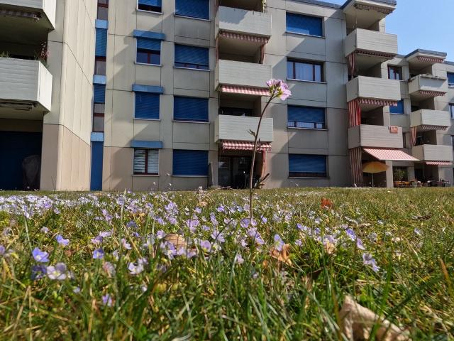 Apartment mieten in Langenthal, Verwaltungsregion Emmental-Oberaargau