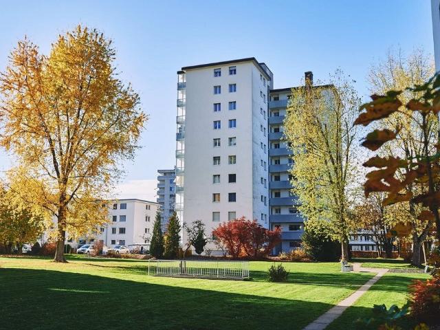 Apartment mieten in Langenthal, Bern