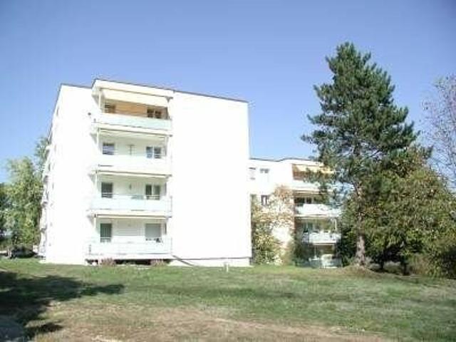 Apartment mieten in Feuerthalen, Zürich