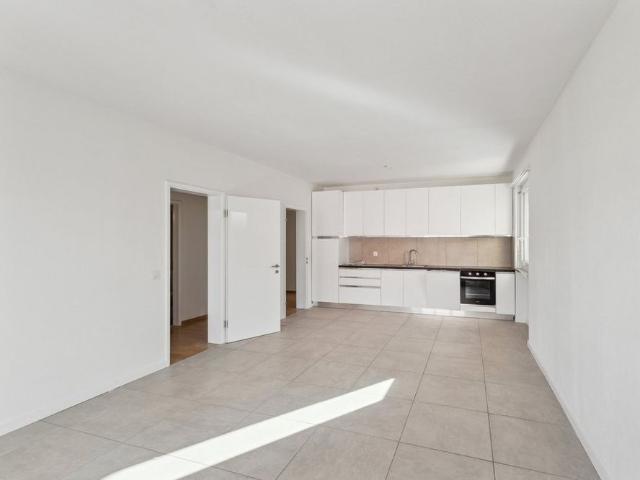 Apartment mieten in Locarno