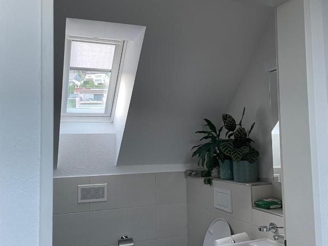 Apartment mieten in Russikon, Zürich