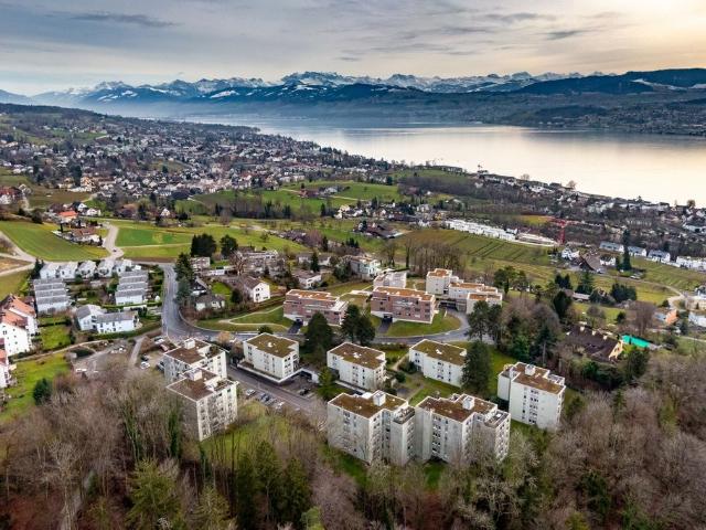 Apartment mieten in Meilen, Zürich