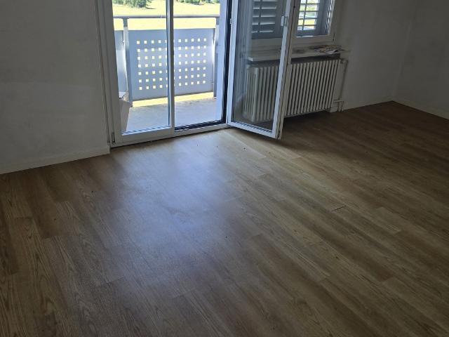 Apartment mieten in Menziken, Aargau