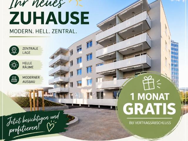 Apartment mieten in Burg AG, Menziken