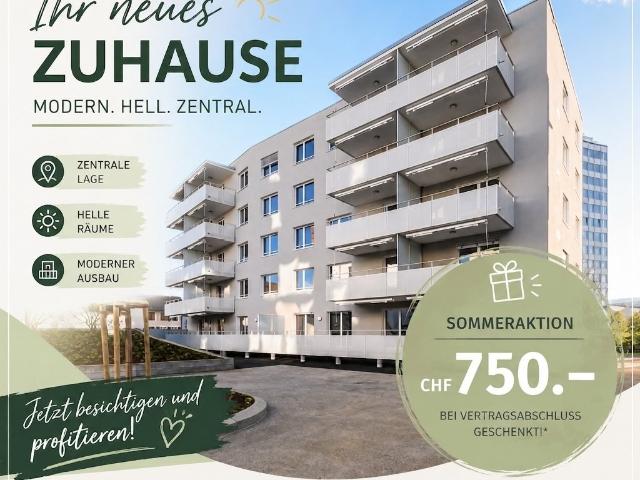 Apartment mieten in Menziken, Aargau