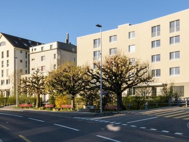 Apartment mieten in Menziken, Aargau