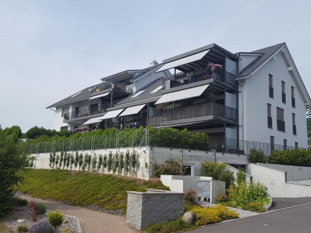 Apartment mieten in Mettmenstetten, Bezirk Affoltern