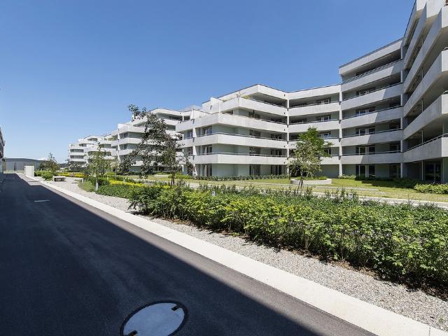 Apartment mieten in Muri Ag, Aargau
