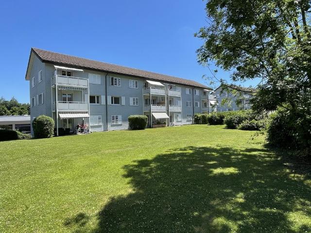 Apartment mieten in Muri Ag, Aargau