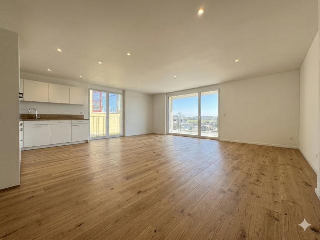Apartment mieten in Oberbuchsiten, Solothurn