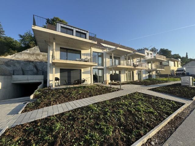 Apartment mieten in Oberbuchsiten, Solothurn
