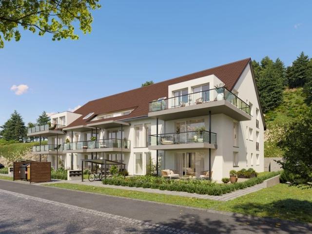 Apartment mieten in Oberbuchsiten, Solothurn