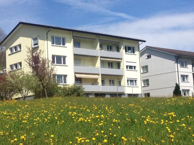 Apartment mieten in Olten, Solothurn