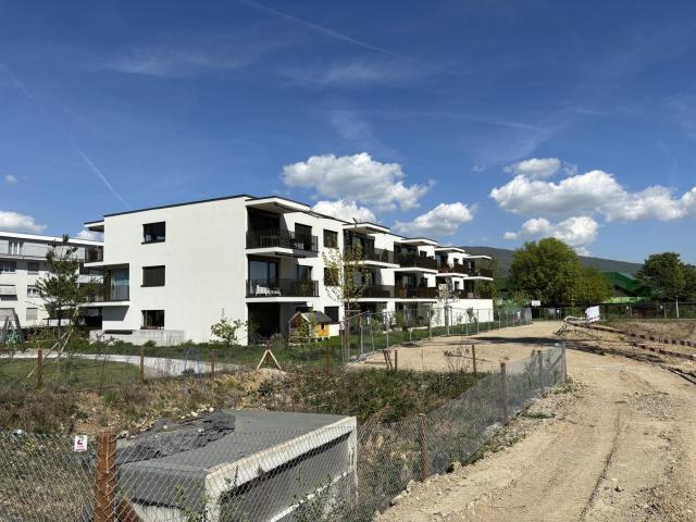 Apartment mieten in Olten, Solothurn