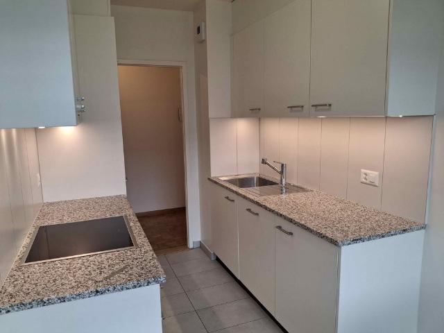 Apartment mieten in Onex