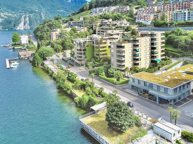 Apartment mieten in Paradiso, Tessin