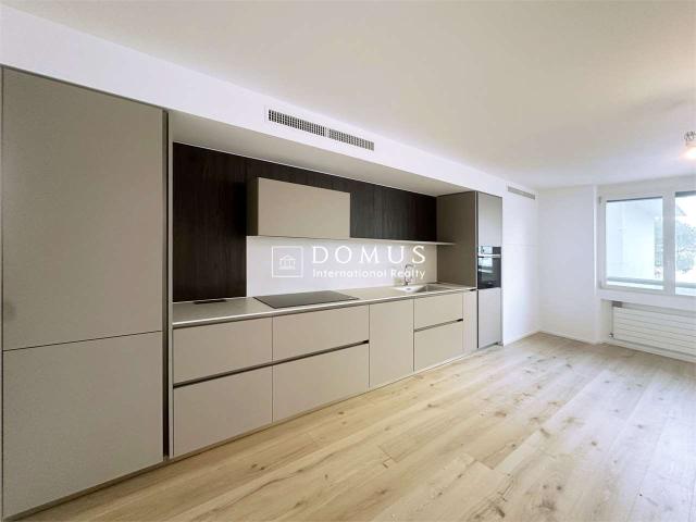 Apartment mieten in Paradiso, Tessin