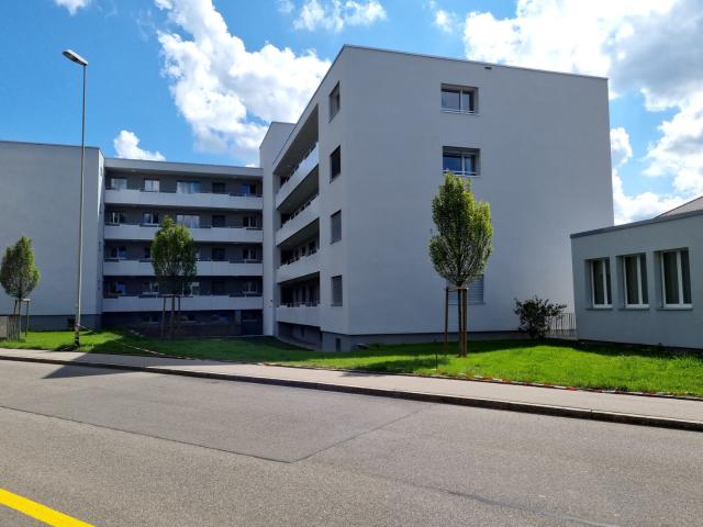 Apartment mieten in Pfäffikon (SZ), Zürich