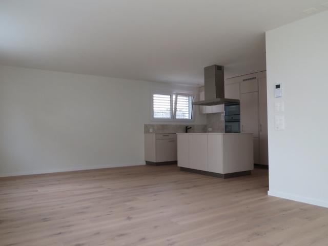 Apartment mieten in Pfäffikon (SZ), Zürich