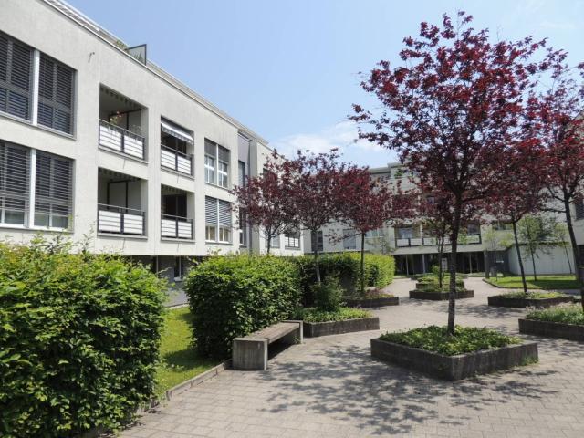 Apartment mieten in Pfäffikon (SZ), Zürich