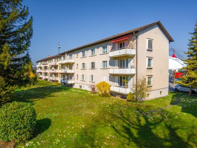 Apartment mieten in Rapperswil-Jona, St. Gallen