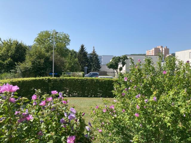 Apartment mieten in Regensdorf, Zürich