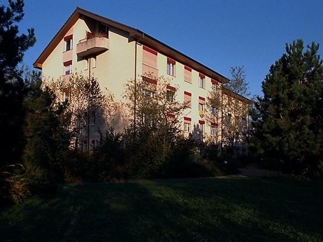 Apartment mieten in Rheinfelden, Aargau